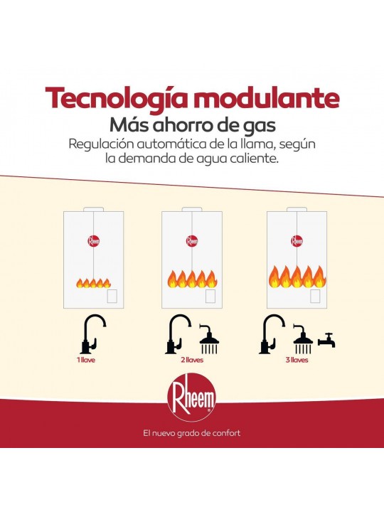 Calefont 21 Litros Tiro Forzado  Gas Natural o Licuado RHEEM